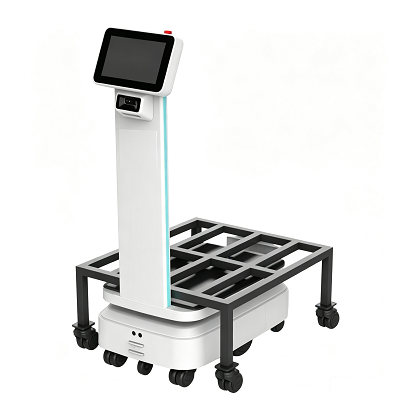 Tip de ridicare automată Robot de manipulare a materialelor din fabrică