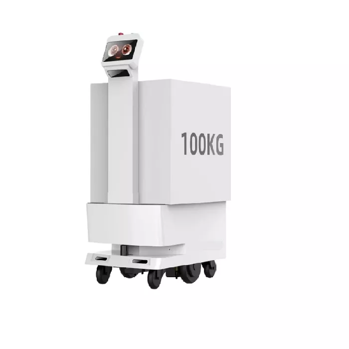 Robot de livrare