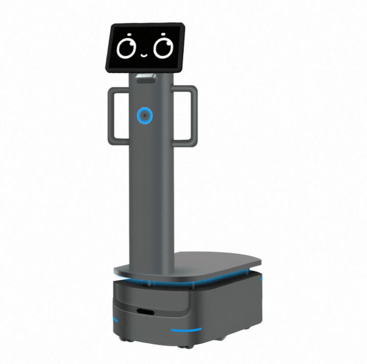 Robot cu sarcină utilă grea pentru livrare industrială