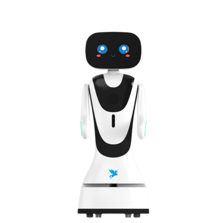 Robot de serviciu pentru holul hotelului